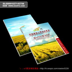 畫冊設(shè)計的多元領(lǐng)域應(yīng)用與核心要素