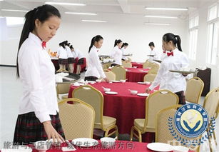 榆林旅游、酒店與職業教育深度解析 從能源化工到旅游管理，再到電商咨詢