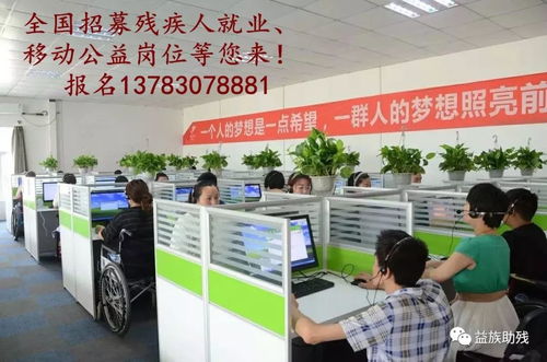數字賦能，共創未來 電子商務為殘疾人群體帶來的新機遇與信息咨詢服務支持
